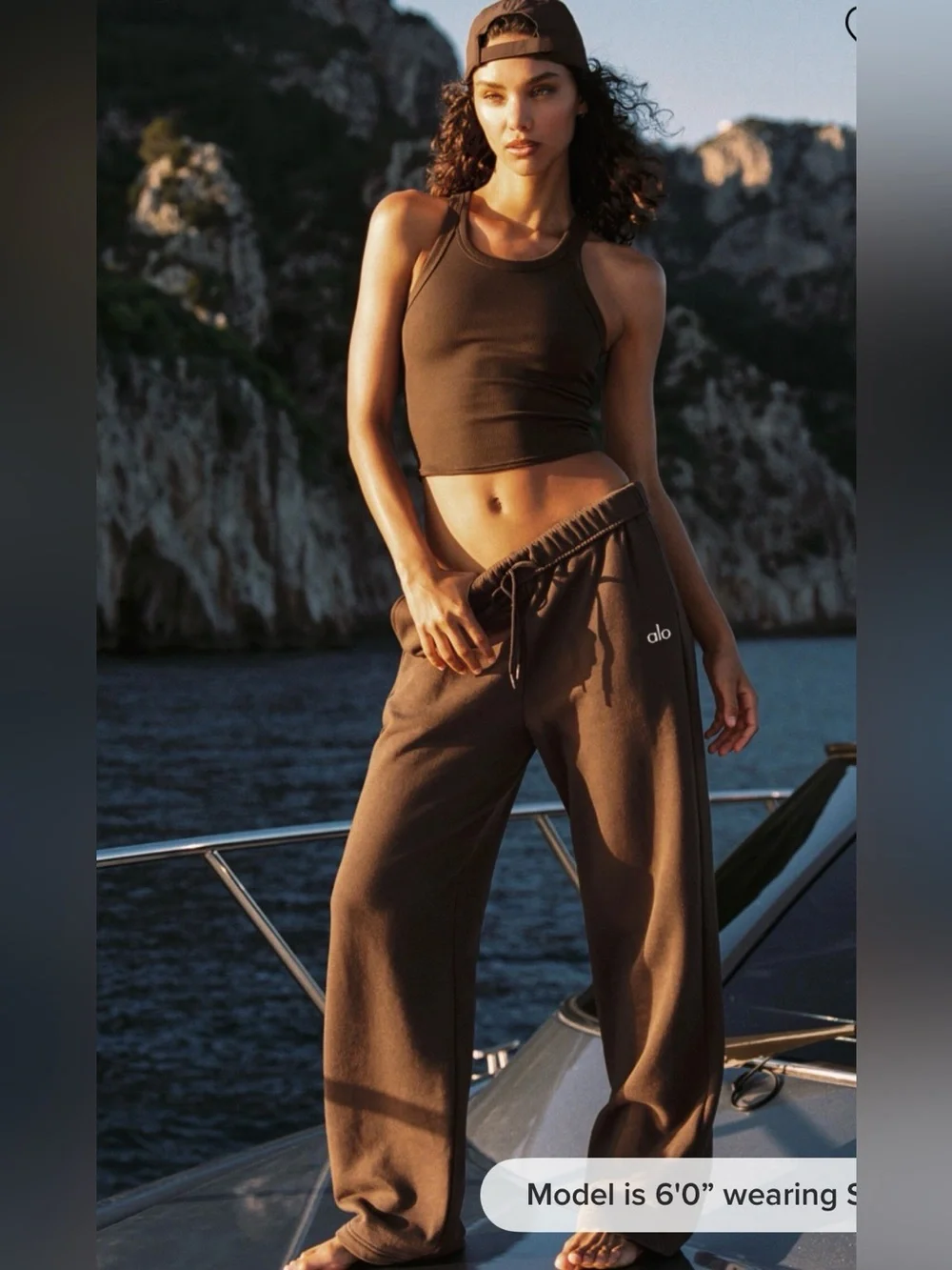 Alo espresso accolade pants